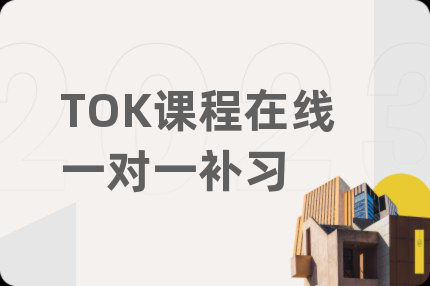 TOK課程在線一對一補習(xí)