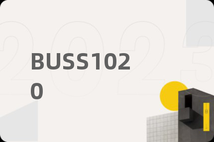 BUSS1020