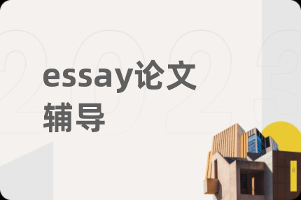 essay論文輔導(dǎo)