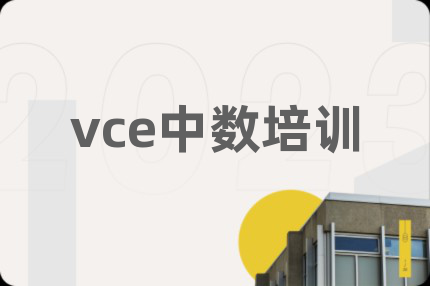 vce中數(shù)培訓(xùn)