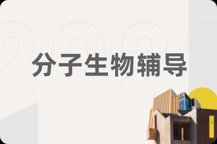 分子生物輔導(dǎo)