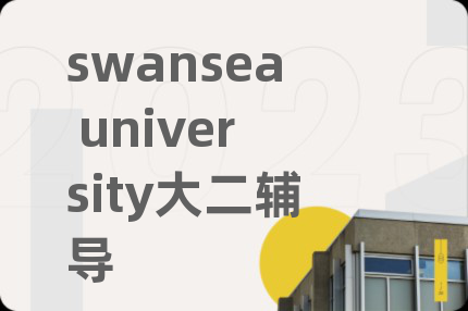 swansea university大二輔導