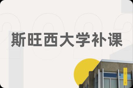 斯旺西大學補課