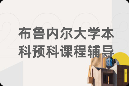 布魯內(nèi)爾大學(xué)本科預(yù)科課程輔導(dǎo)