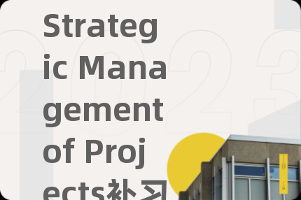 Strategic Management of Projects補(bǔ)習(xí)