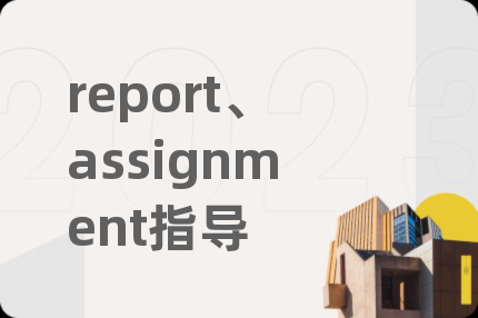 report、assignment指導(dǎo)