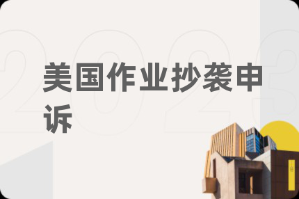 美國作業(yè)抄襲申訴