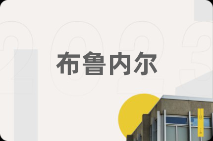 布魯內(nèi)爾