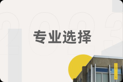專業(yè)選擇