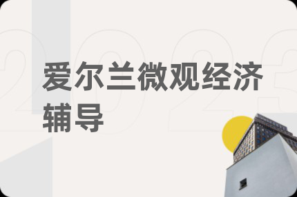 愛爾蘭微觀經(jīng)濟(jì)輔導(dǎo)