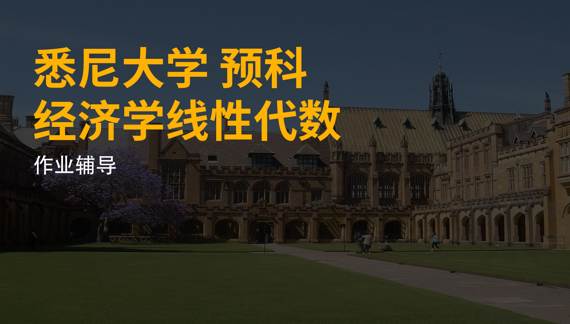 悉尼大學(xué)-預(yù)科-經(jīng)濟(jì)學(xué)線性代數(shù)-作業(yè)輔導(dǎo).jpg